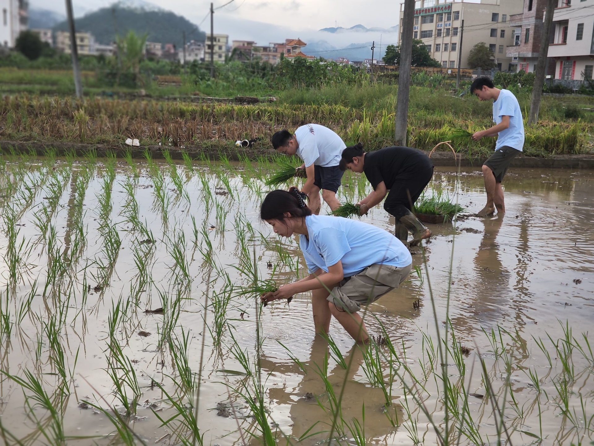 三下乡 | 金年会 金字招牌诚信至上生物参与“三下乡”公益活动，助力乡村振兴